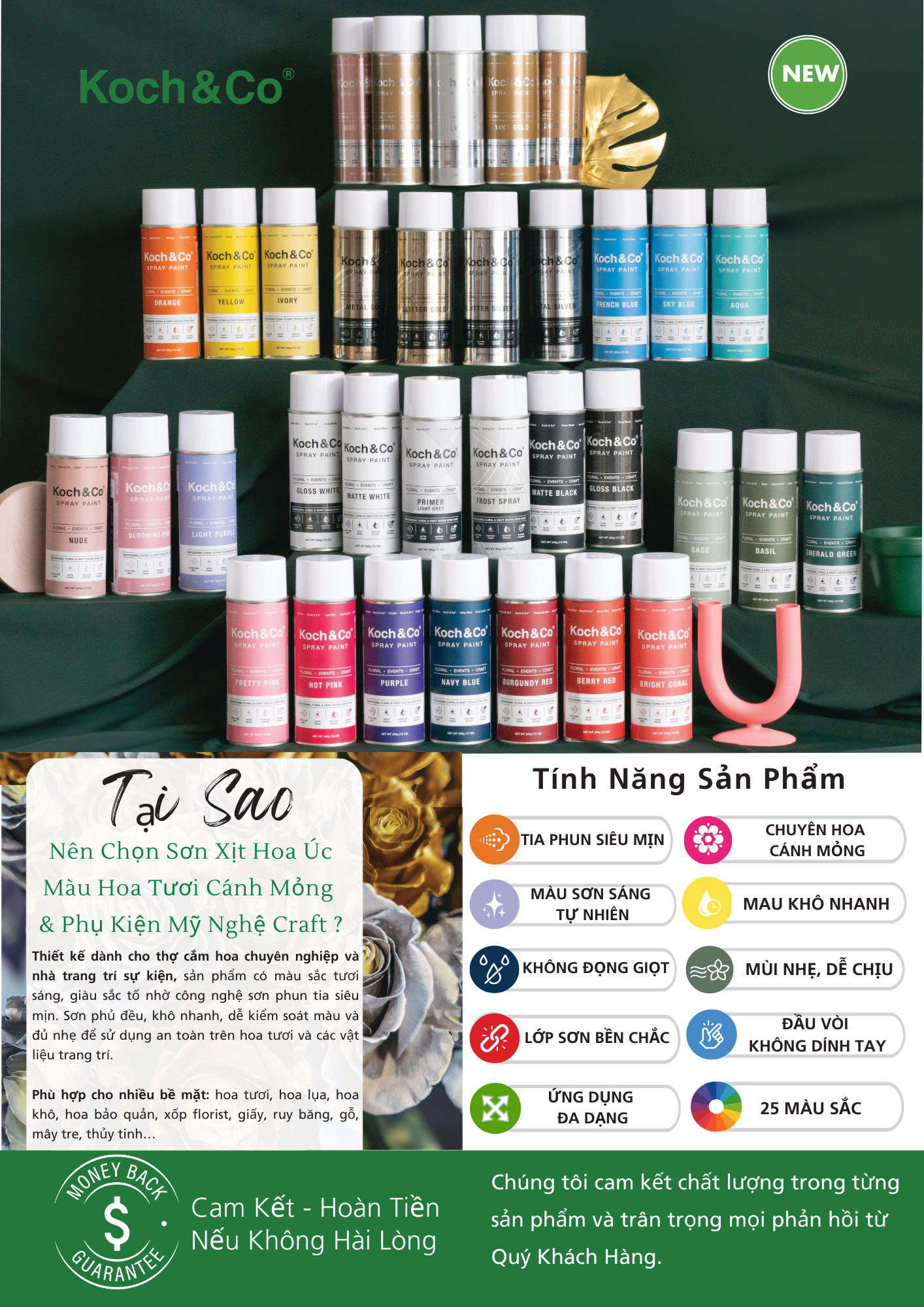 bang in chot - catalog 2