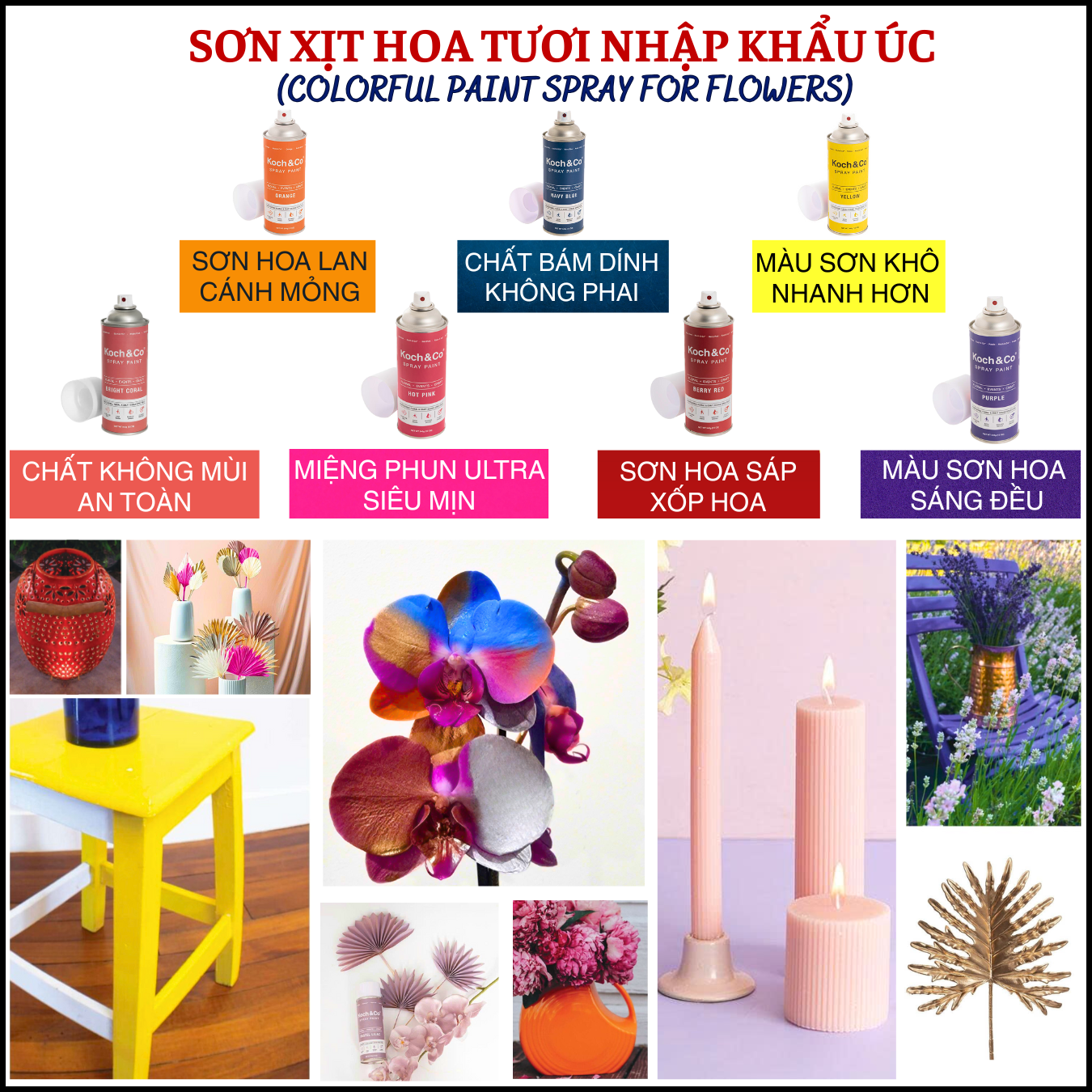 leaflet-son-xit-hoa-tuoi-nhap-khau-uc