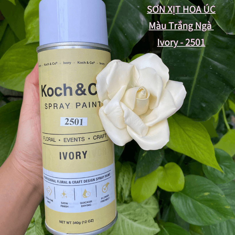 son-xit-mau-hoa-hong-sap-uc-koch-&-co-spray-paint (7)